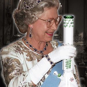 Meet your Posher, Amelia